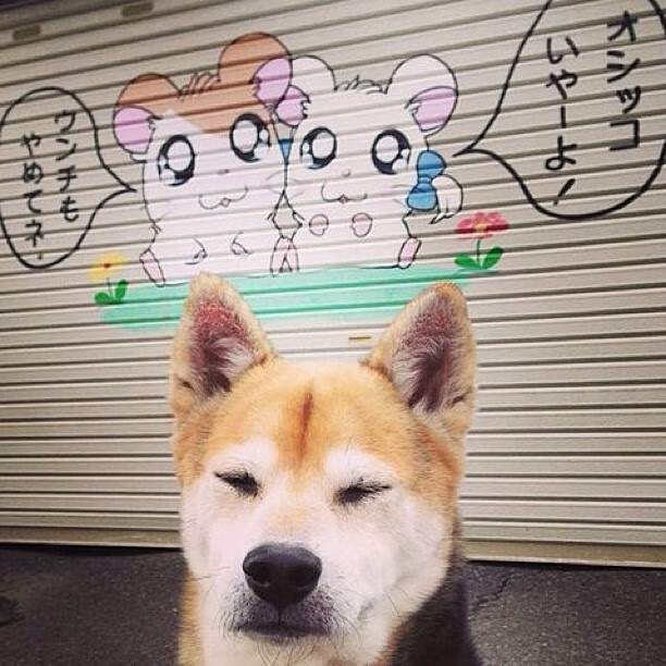 孔德一剑封喉，比利亚雷亚尔高效闪电战击溃摩纳哥