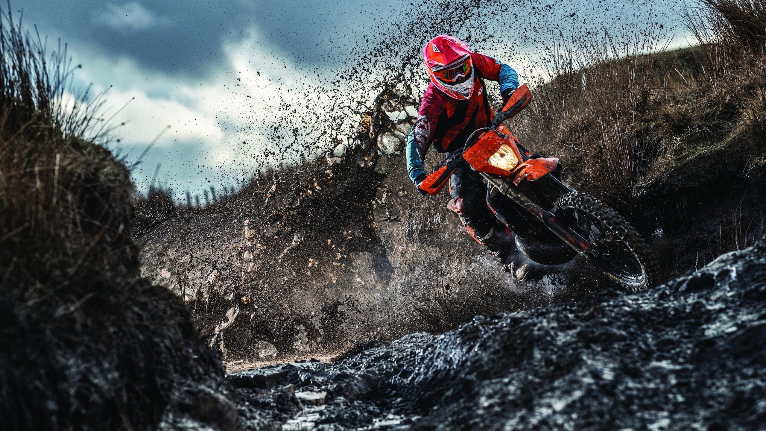 爱德华兹爆发之夜，猛龙强势拿下吉林队，诠释篮球唯一性