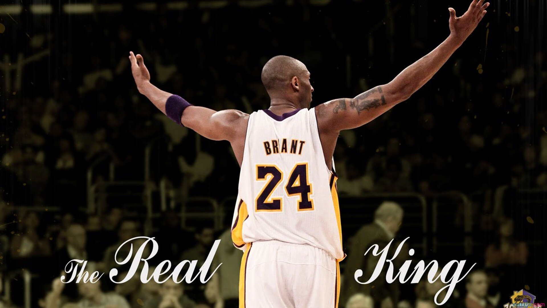 约基奇冠军级表现启示录,从丹佛到新疆,篮球哲学无疆界